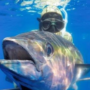 Meet your Posher, Abdulmohsen